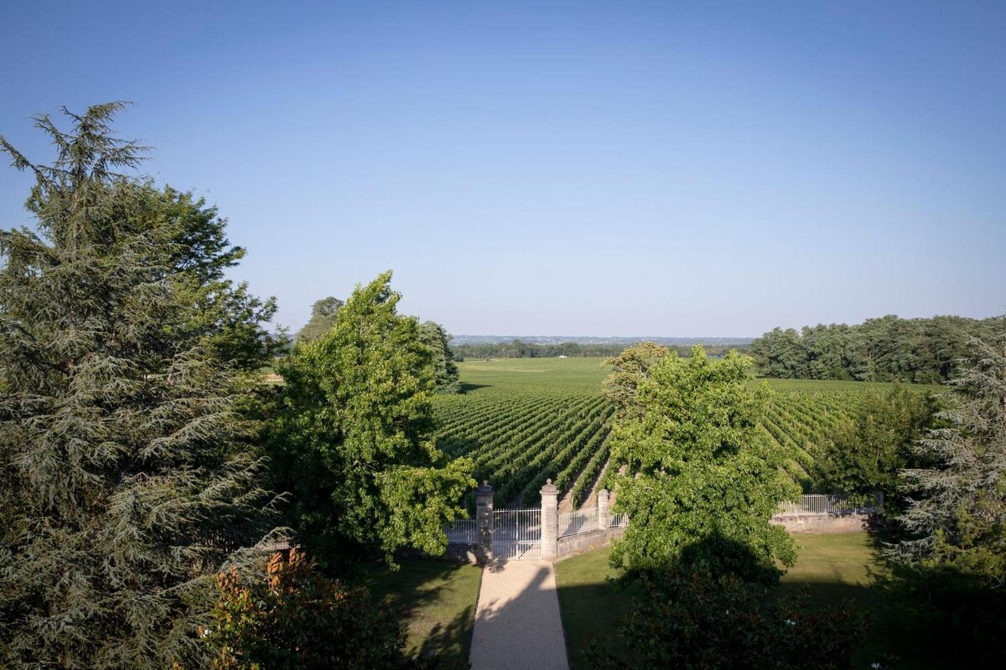 Chateau Malescasse Lamarque Exterior foto