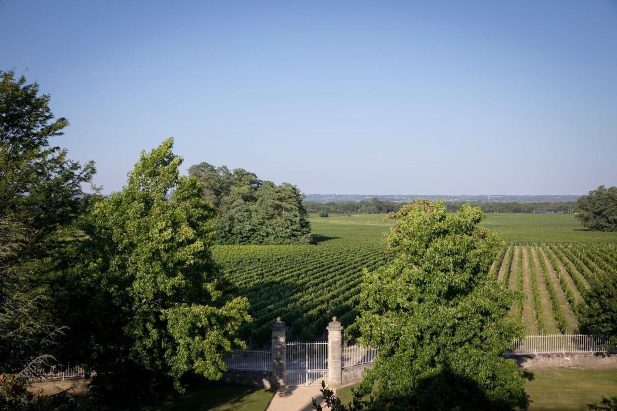 Chateau Malescasse Lamarque Exterior foto