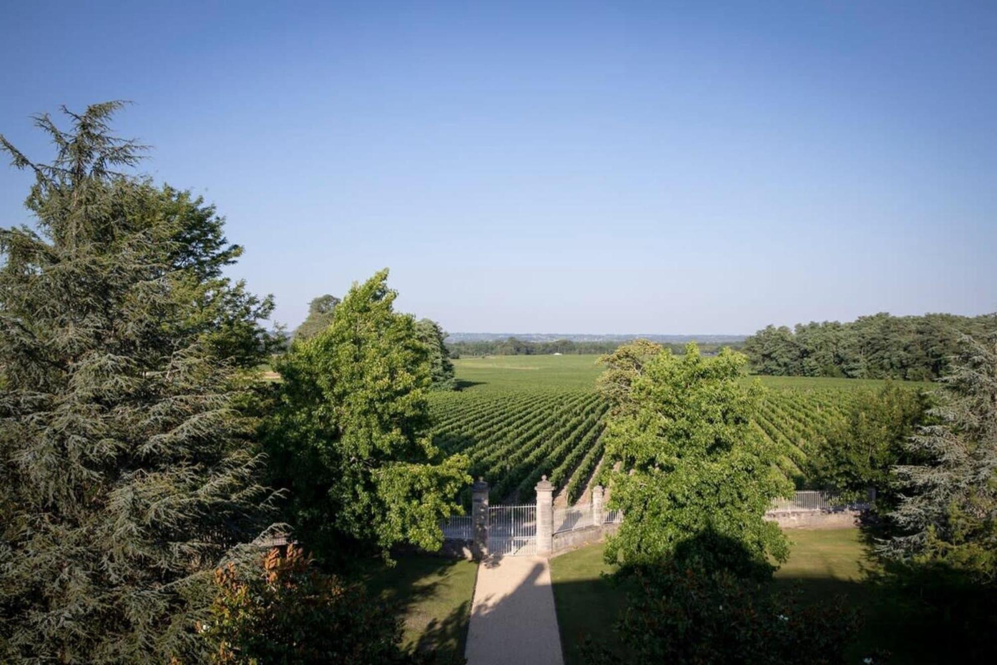 Chateau Malescasse Lamarque Exterior foto