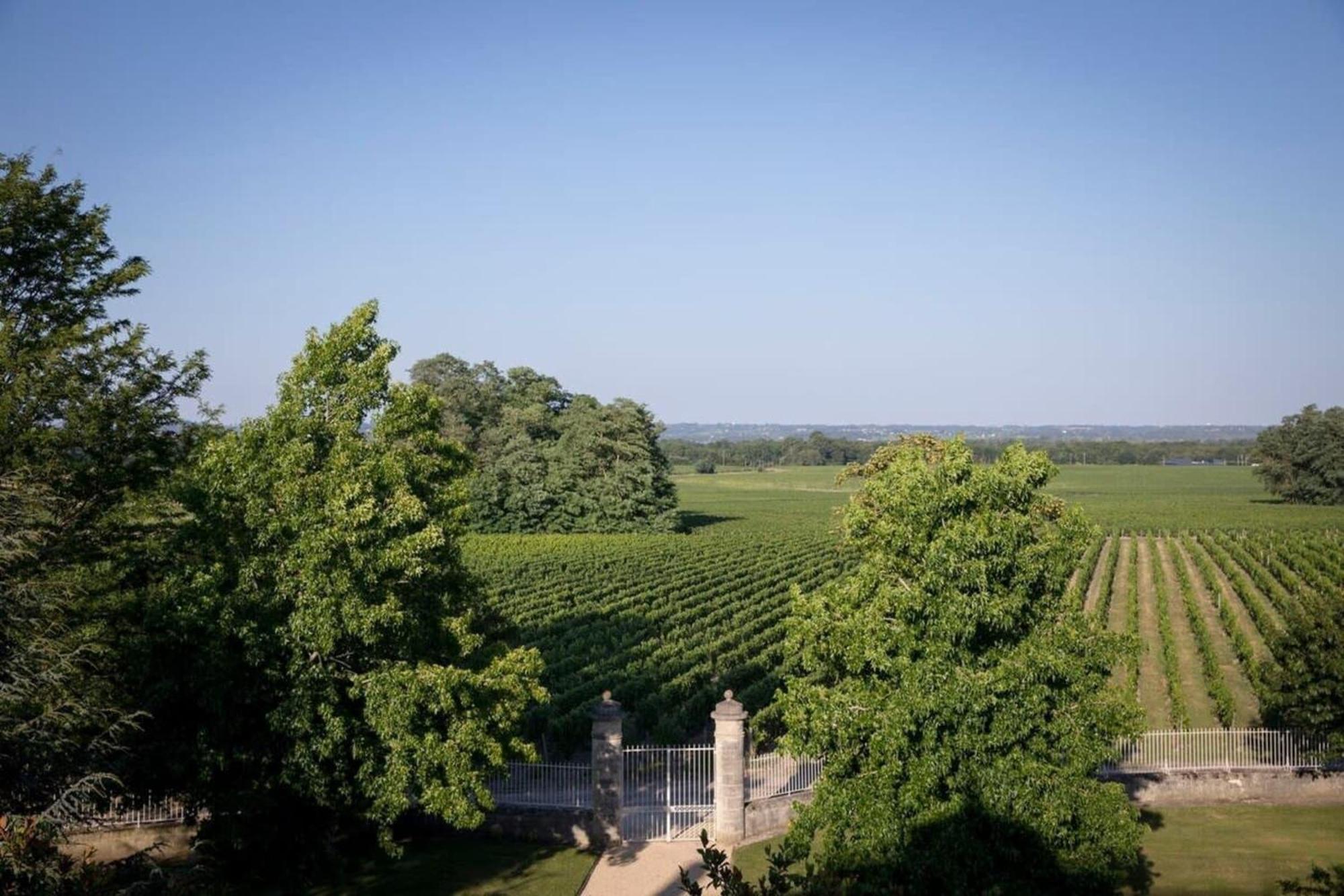 Chateau Malescasse Lamarque Exterior foto